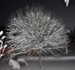 Picture for song 'Coming Back' by artist 'Ingemar Johansson'