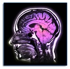 Picture for song 'Brain Activity' by artist 'Cruncin'