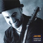 Picture for song 'Hidden in Plain View' by artist 'Jacob and Julia'