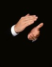 Picture for song 'Hold The Applause *Free D/L*' by artist 'JayRobOnDaBeat'