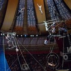 Picture for song 'The Big Top' by artist 'Jeff Armstrong'