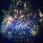 Picture for song 'Rude thoughtless Little Pig feat. Alec Baldwin' by artist 'Joe D Lincoln and the Logs'