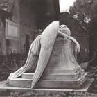 Picture for song 'Fallen Angel | *Free Download*' by artist 'John Coleman'