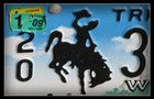 Picture for song 'Going to Wyoming' by artist 'Jonie'
