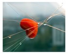 Picture for song 'HEART STRINGS-www.2conv.com' by artist 'JONNY QUEST'
