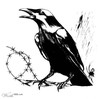 Picture for song 'Black Crow Rise' by artist 'Josephus'