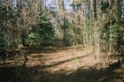 Picture for song 'Tha Mission' by artist 'Judson Rogers'