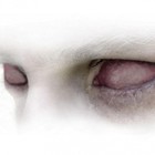 Picture for song 'See No Evil |FreeDL !' by artist 'JuniorBeatzMusic'