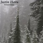 Picture for song 'Wintertime' by artist 'Justin Havu'