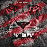 Picture for song 'Kam James - Aint No Way Prod By. AyyDot' by artist 'kam james'