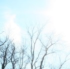 Picture for song 'Set my spirit free -isa' by artist 'Kandi Bahr'