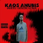 Picture for song 'Hardcore' by artist 'Kaos Anubis'