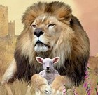 Picture for song 'The Great Beyond' by artist 'Kathy Reynolds'