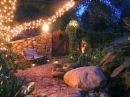 Picture for song 'chlorins garden' by artist 'Kayadub'