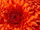 Picture for song 'Saphire (Free Download) ((NO TAGS)) NEW PRO' by artist 'Kendall hendrix'
