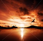 Picture for song 'Feel Me' by artist 'Keyz Da Don'