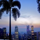 Picture for song 'Palm Trees' by artist 'soundsbyzer0'