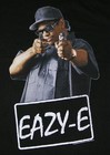 Picture for song 'Eazy E instrulmental' by artist 'King Beat's Productions'