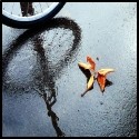 Picture for song 'Rainy Night' by artist 'KIWI-chu'