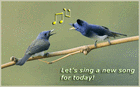 Picture for song 'Birds of Morning' by artist 'Klaatu (CT)'