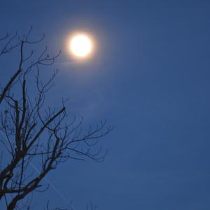 Picture for song 'BACK TO S C - 03.01.22, 17.54' by artist 'KLANGGNOM'