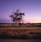 Picture for song 'westcoast funk' by artist 'Kollective Mindz'