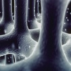 Picture for song 'Ghosts (In The Machine)' by artist 'Kopasetik'