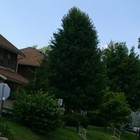 Picture for song 'JUNIOR DONT KNOW HOW TO STAY AWAKE - FREE DOWNLOAD' by artist 'KrackaTraxxx'