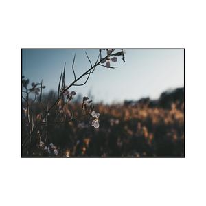 Picture for song 'not ready gunna x juice wrld type beat' by artist 'krs.kv'