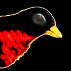 Picture for song 'ink every' by artist 'labbor'