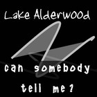 Picture for song 'Can Somebody Tell Me?' by artist 'Lake Alderwood'