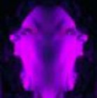 Picture for song 'Coup de gueule (J-Luc-Francisco-la ouache)' by artist 'LA OUACHE'