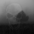 Picture for song 'Shadows In The Fog' by artist 'LaughingSkull'