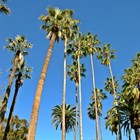 Picture for song 'NEW West Coast Swag' by artist 'Legacy Evolution Productions'