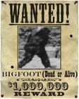 Picture for song 'big foot' by artist 'MarlonMurphy'