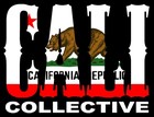 Picture for song 'SO Cali' by artist 'Lil Frosty'