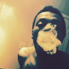 Picture for song 'bells' by artist 'lil kaoz'
