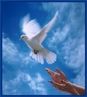 Picture for song 'I Am Free Vocals 651207' by artist 'Linda Perry Lyricist'