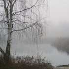 Picture for song 'Nebelgeister' by artist 'Lindele Ambarenyallo'