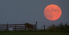 Picture for song 'Harvest Moon' by artist 'Lisa Lavoie'