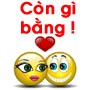 Picture for song 'Loi hua Remix' by artist 'LongZin'