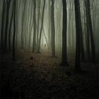 Picture for song 'Diabolical SOLD' by artist 'LooneyManSlayedIt'