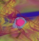 Picture for song 'Green Song' by artist 'Loren'