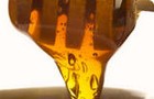 Picture for song 'Taste Off Honey' by artist 'Lunatic Yeh'
