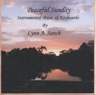 Picture for song 'When I Look' by artist 'Lynn A Sanch'