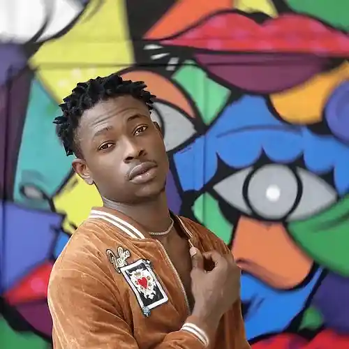 Artist picture