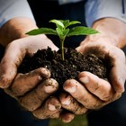 Picture for song 'New Beginnings (Prod By Mace Beats)' by artist 'Mace Beats'