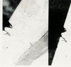 Picture for song 'Funk Attack!!!!' by artist 'Magus Pymp'