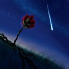 Picture for song 'Fallen Star (Could It Be You)' by artist 'Marc Blackwell'