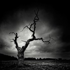 Picture for song 'Capital Circle' by artist 'Mark Hawkins'